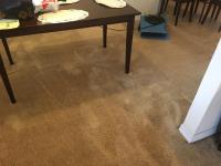 Steam Authority Carpet Cleaning & Restoration image 4